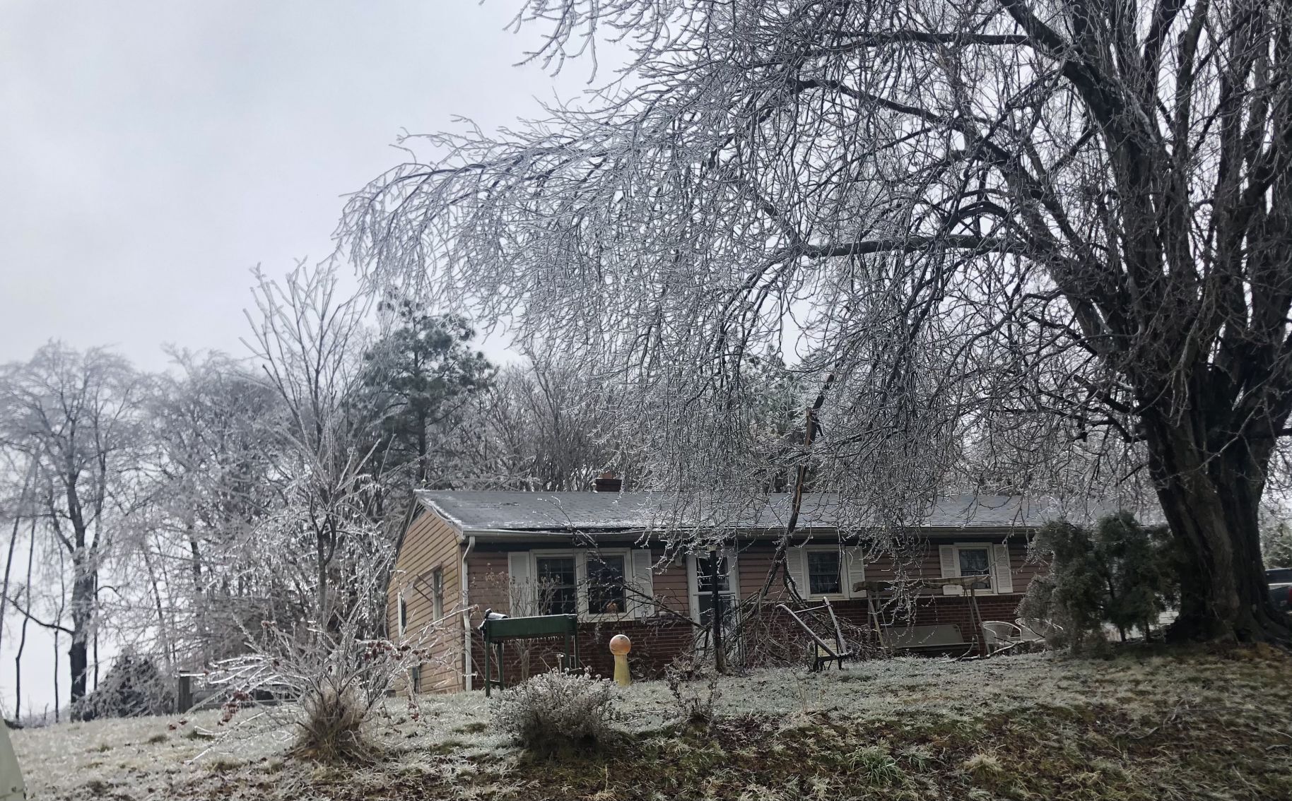 Ice